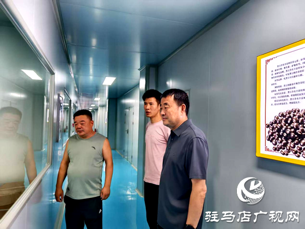 平輿縣射橋鎮(zhèn)：親臨企業(yè)問需求  精準助力煥新機