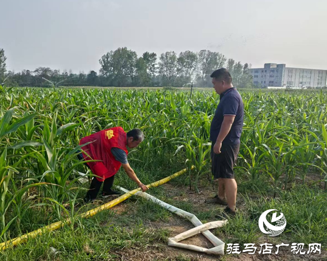 驛城區(qū)關(guān)王廟鄉(xiāng)：抗旱保秋 全力守護(hù)“糧袋子”