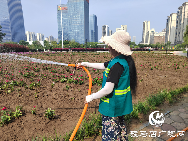 高溫炙烤大地 園林工人用汗水守護城市綠蔭