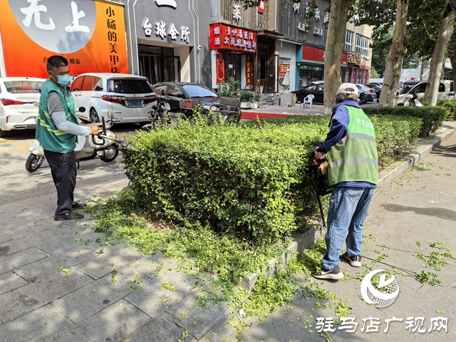  開發(fā)區(qū)城市管理局：全力打好“戰(zhàn)高溫 保綠蔭”攻堅戰(zhàn) 守護(hù)城市綠色風(fēng)景線