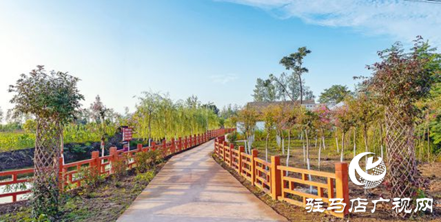 正陽(yáng)縣彭橋鄉(xiāng)大劉村：文明鄉(xiāng)風(fēng)鑄就“國(guó)字號(hào)”金招牌