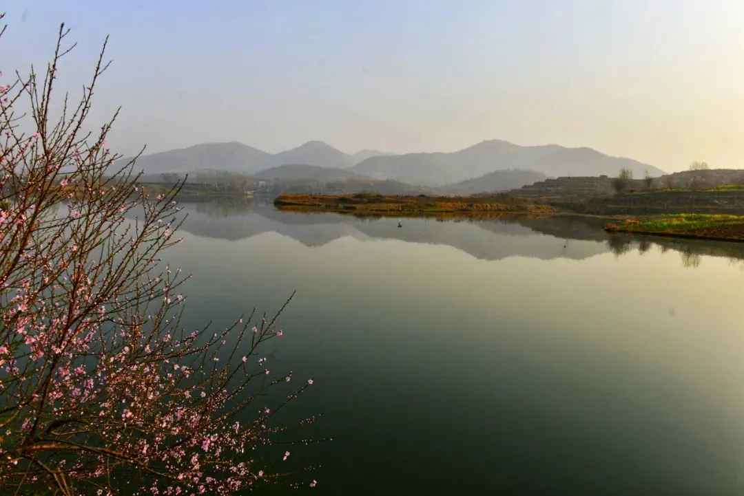 縣區(qū)動(dòng)態(tài) | 來泌陽吧，來一場不一樣的生態(tài)游