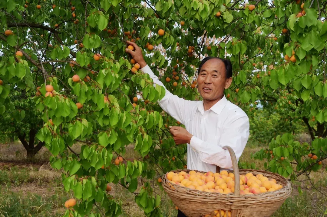 縣區(qū)動(dòng)態(tài) | 來泌陽吧，來一場不一樣的生態(tài)游
