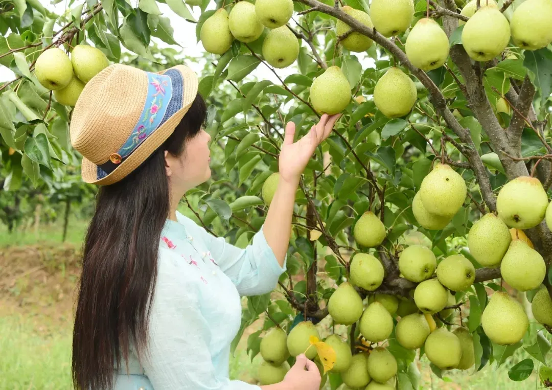 縣區(qū)動(dòng)態(tài) | 來泌陽吧，來一場不一樣的生態(tài)游
