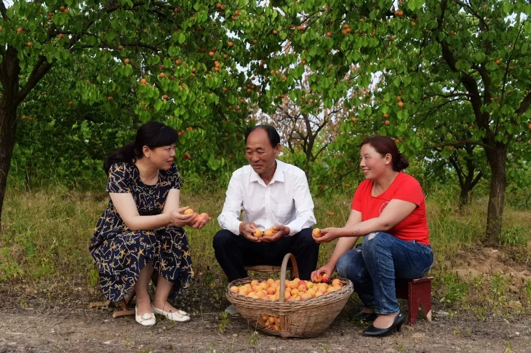 縣區(qū)動(dòng)態(tài) | 來泌陽吧，來一場不一樣的生態(tài)游