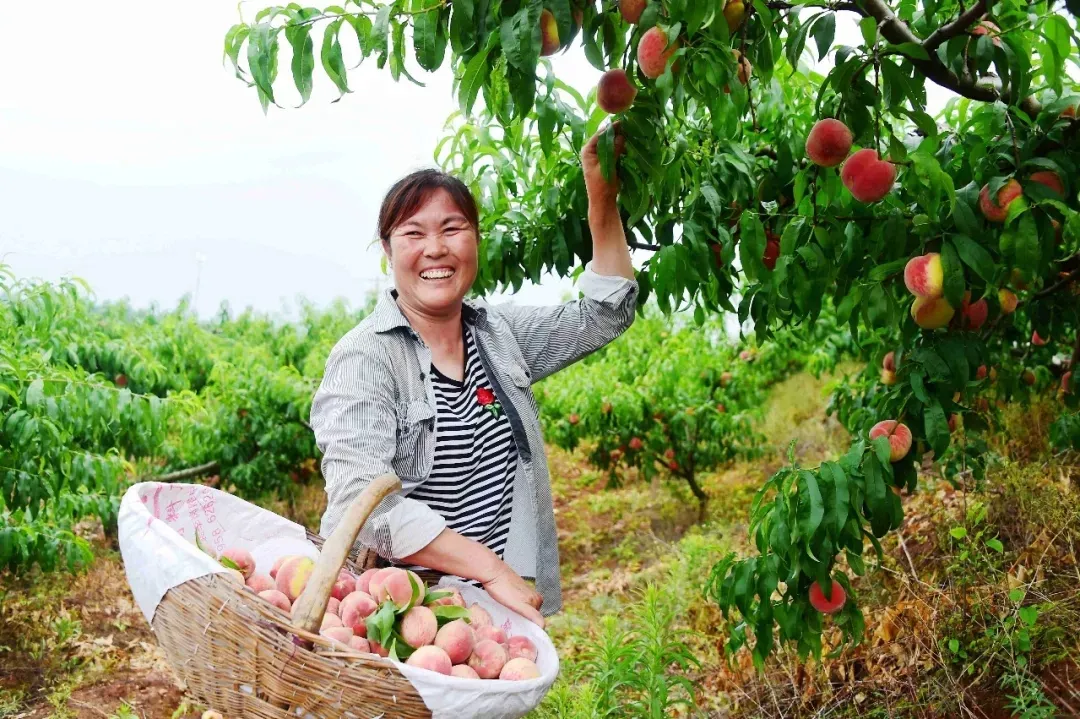 縣區(qū)動(dòng)態(tài) | 來泌陽吧，來一場不一樣的生態(tài)游