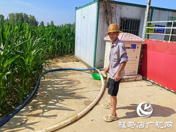  西平柏城街道辦事處多措并舉抗旱保收