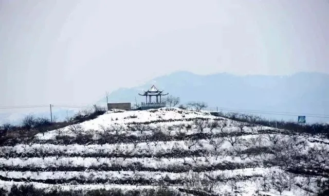 縣區(qū)動(dòng)態(tài) | 來泌陽吧，來一場不一樣的生態(tài)游