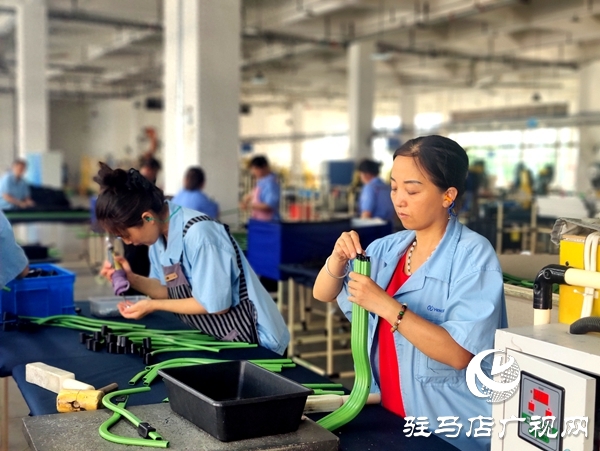 平輿縣“三園”引擎：三鏈共舞，托起強(qiáng)縣富民新圖景