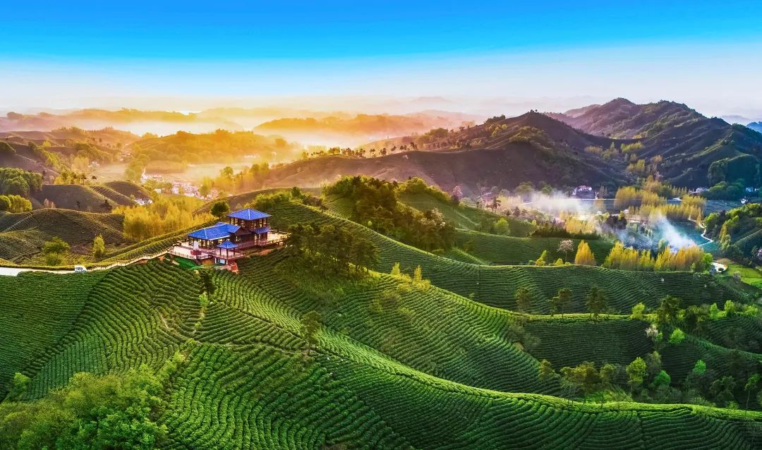 河南30個(gè)網(wǎng)紅打卡點(diǎn)名單今天發(fā)布