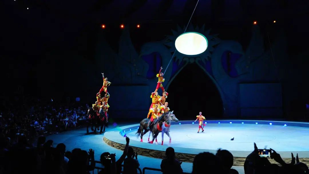 河南30個(gè)網(wǎng)紅打卡點(diǎn)名單今天發(fā)布