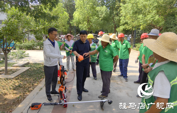  西平縣城管局園林綠化中心開展夏季苗木抗高溫養(yǎng)護(hù)培訓(xùn)