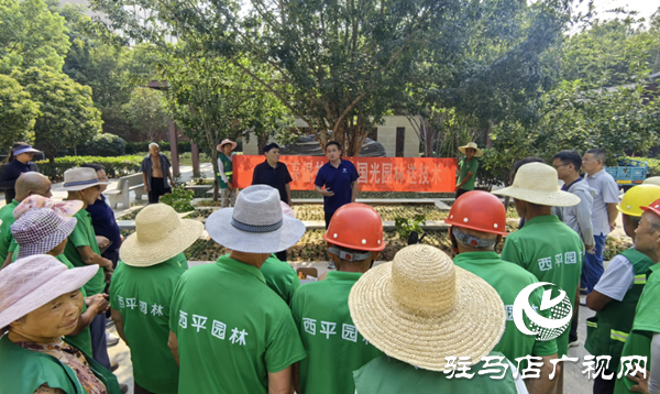  西平縣城管局園林綠化中心開展夏季苗木抗高溫養(yǎng)護(hù)培訓(xùn)