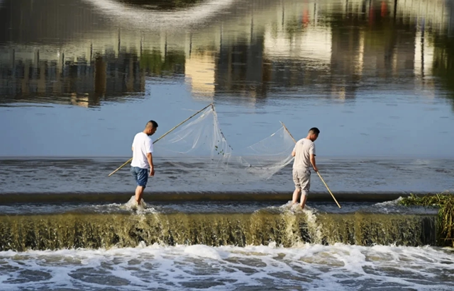 從泌陽(yáng)陳正的《南河公園晨曲》看南河公園的晨韻之美
