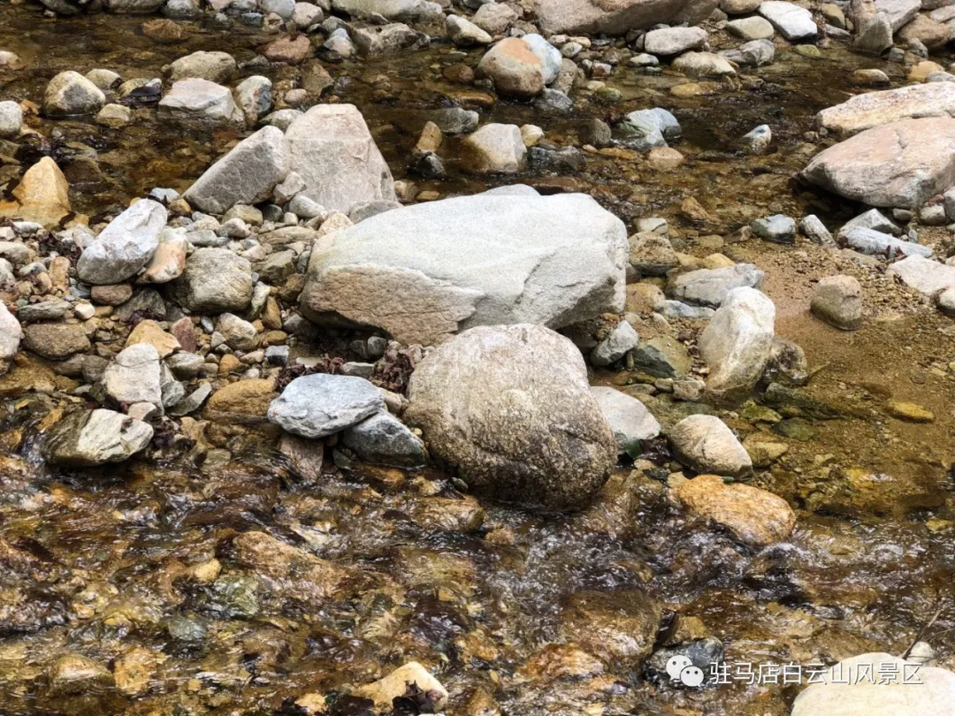 躲進(jìn)小溪的夏天，娃追著小魚，我追著娃~