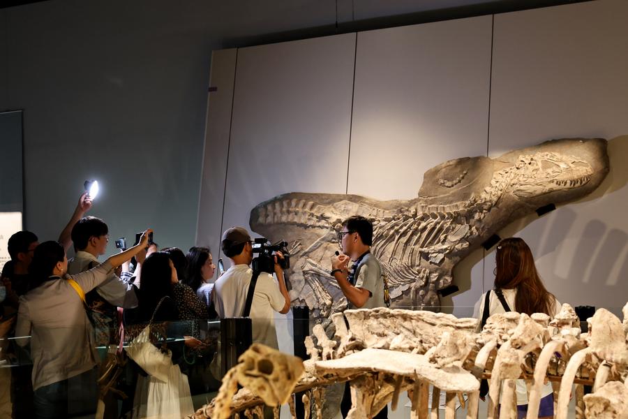 到博物館里“清涼一夏”