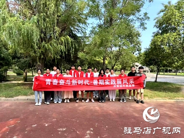 共青團平輿縣委“青春奮斗新時代·暑期實踐展風采”系列活動（一）