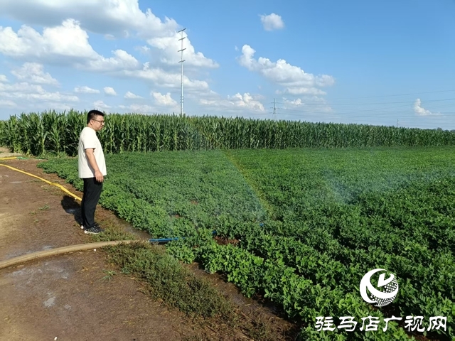  西平縣柏城街道：干群同心 打響抗旱保秋攻堅戰(zhàn)