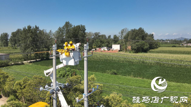國網(wǎng)確山縣供電公司:進行帶電接火作業(yè) 確保線路不停電