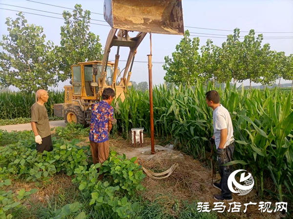 平輿縣老王崗鄉(xiāng)：干群同心抗旱保秋 為秋糧豐收“保駕護(hù)航”