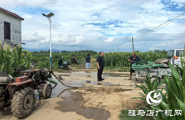 駐馬店市驛城區(qū)沙河店鎮(zhèn)：抗旱保苗齊努力 澆水潤田共擔(dān)當(dāng)