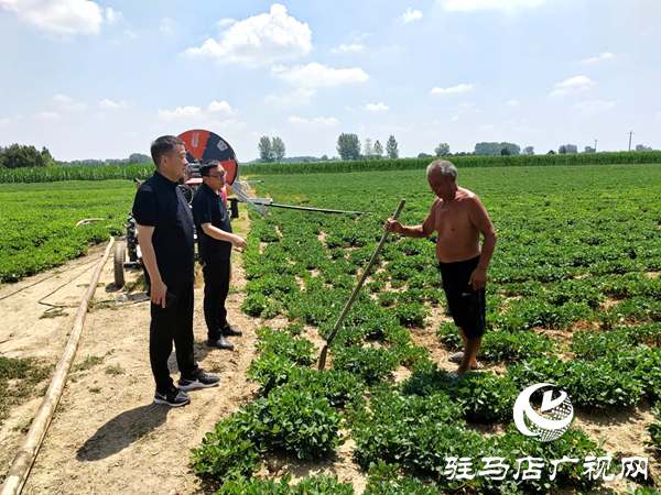 平輿縣射橋鎮(zhèn)：繃緊“抗旱弦” 守住“秋糧倉(cāng)”全鎮(zhèn)上下齊發(fā)力筑牢豐收防線
