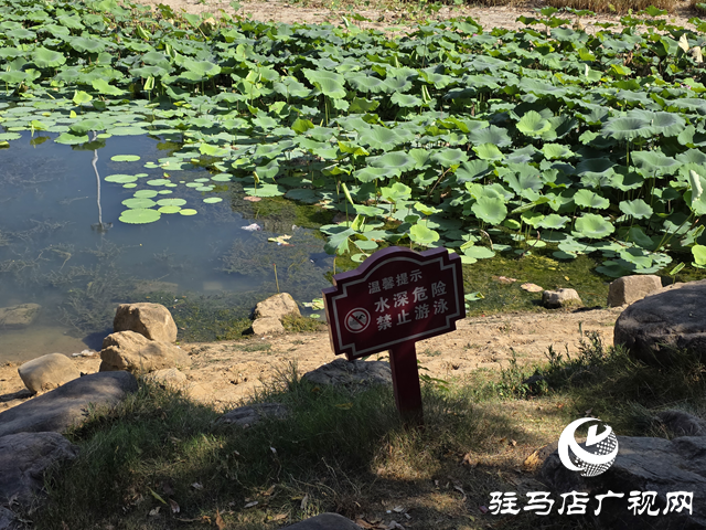 防溺水日：公園嚴禁游泳 共護生命安全