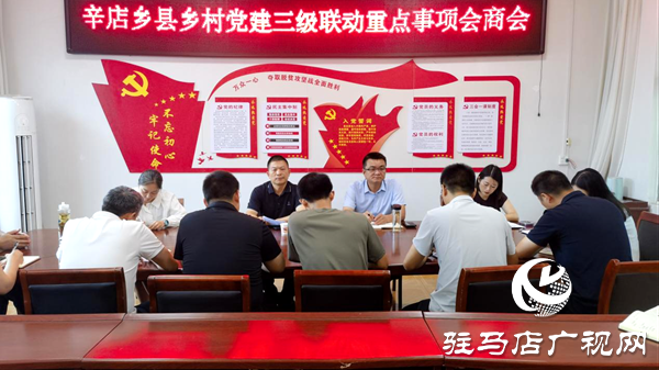 平輿縣辛店鄉(xiāng)：一線督導(dǎo)解難題，三級聯(lián)動(dòng)強(qiáng)攻堅(jiān)