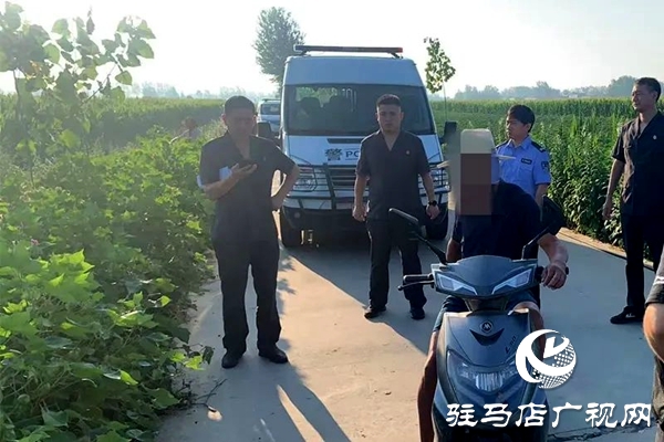 平輿縣人民法院：火力全開，不懼“烤”驗(yàn)再出發(fā)！