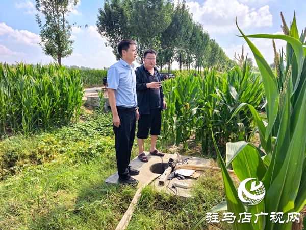 平輿縣楊埠鎮(zhèn)：干群同心齊抗旱 涓涓細流潤民心