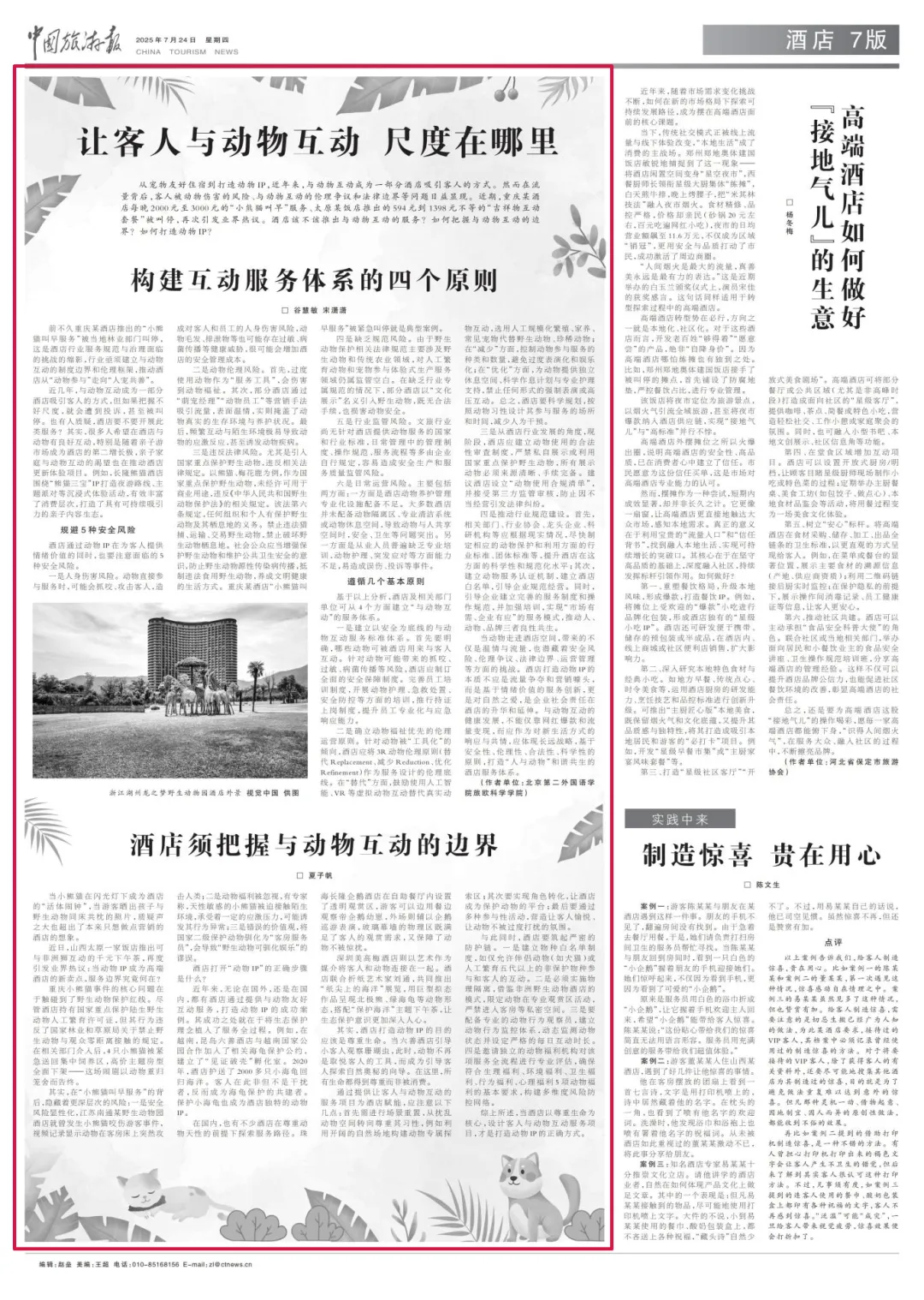 什么才是打造動物IP的正確方式？
