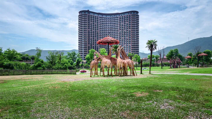 什么才是打造動物IP的正確方式？