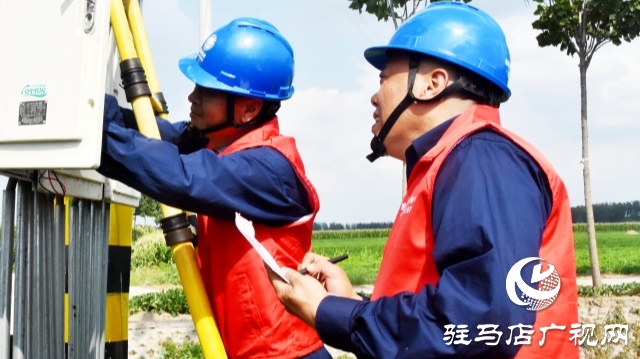 國網(wǎng)平輿縣供電公司：抗旱保電潤芝麻 電力護航保豐收