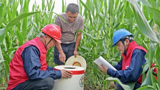 國(guó)網(wǎng)西平縣供電公司：抗旱保電“加速度” 守護(hù)田間“生命線(xiàn)”