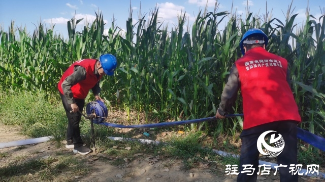 國網駐馬店供電公司：黨員先鋒在一線 抗旱保秋護民生