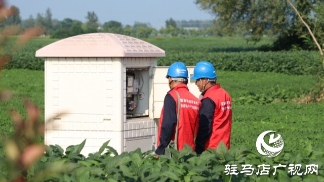 國網(wǎng)正陽縣供電公司:電力護(hù)航戰(zhàn)旱情 清流潤田解民憂