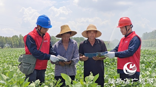 國網汝南縣供電公司:把好三道關口 護航抗旱保電