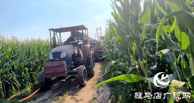 與時間賽跑！大余莊社區(qū)爭分奪秒修井保玉米灌溉