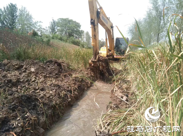 遂平縣玉山鎮(zhèn)：多點發(fā)力抗旱保秋 筑牢糧食安全防線