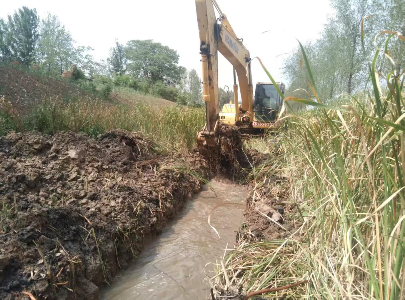 玉山鎮(zhèn)多點(diǎn)發(fā)力抗旱保秋 筑牢糧食安全防線