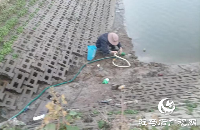 泌陽(yáng)縣賒灣鎮(zhèn)：抗旱一線顯擔(dān)當(dāng) 舍魚保田為豐收