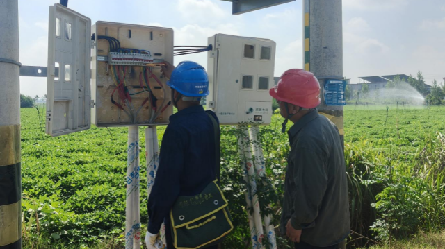 駐馬店供電公司:多舉措抗旱保供 全力保障農(nóng)業(yè)生產(chǎn)