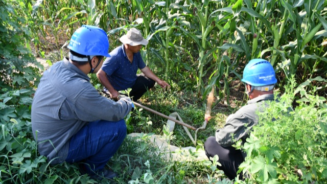 國網確山縣供電公司:開辟用電報裝“綠色通道”隨時響應抗旱保秋用電需求