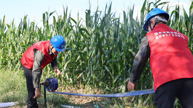 駐馬店供電公司:多舉措抗旱保供 全力保障農(nóng)業(yè)生產(chǎn)