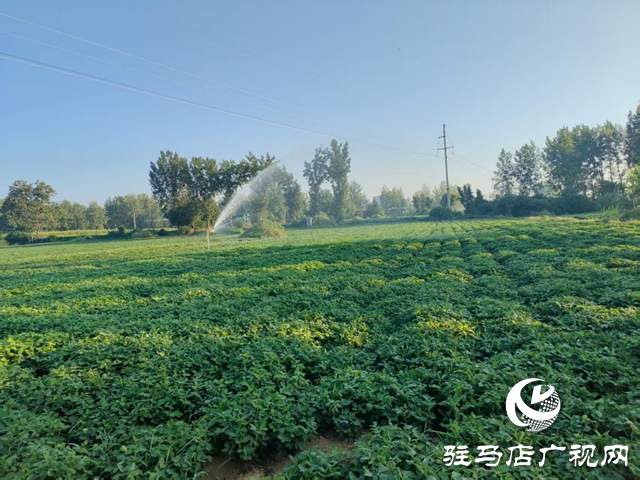 泌陽(yáng)縣賒灣鎮(zhèn)：抗旱一線顯擔(dān)當(dāng) 舍魚保田為豐收
