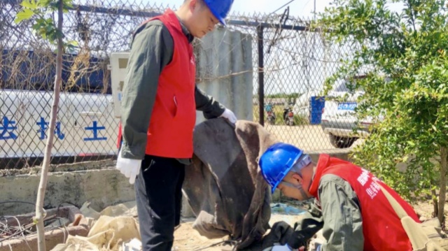 國網西平縣供電公司:精準施策抗旱保電 筑牢農田“電力防線”