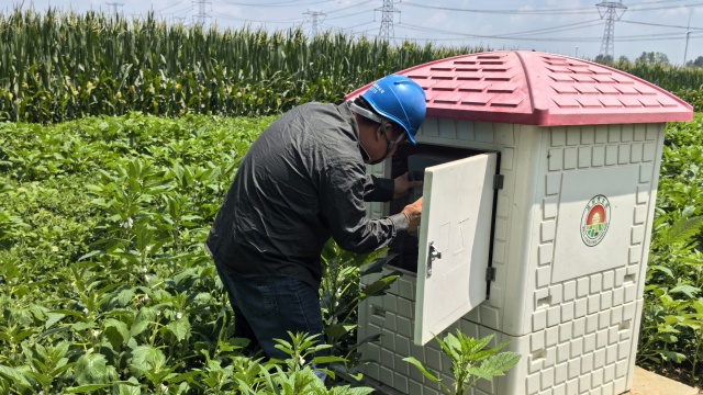 國(guó)網(wǎng)上蔡縣供電公司:以充足電力保障農(nóng)田灌溉