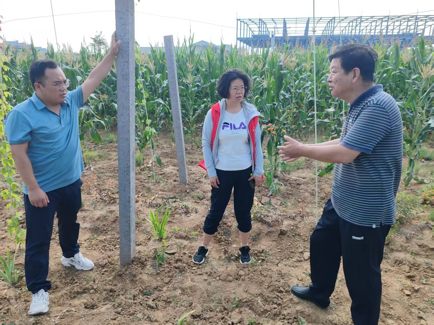 用科技力量守護“道地藥香”　助力“中國藥谷”建設(shè)