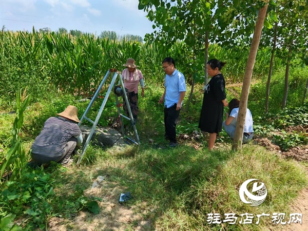 平輿縣廟灣鎮(zhèn)：多措并舉戰(zhàn)旱情 全力以赴保秋收