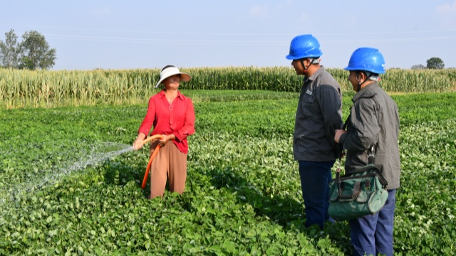 國網確山縣供電公司:開辟用電報裝“綠色通道”隨時響應抗旱保秋用電需求